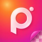 Polish++ Logo
